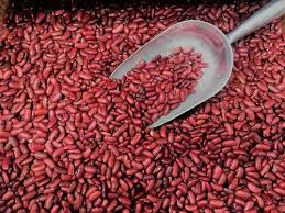 Red Kidney Bean